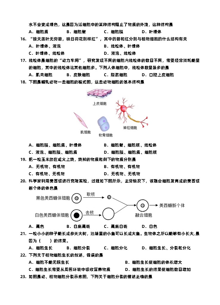 2024—2025学年秋季学期期中诊断测试初一年级生物试卷第3页