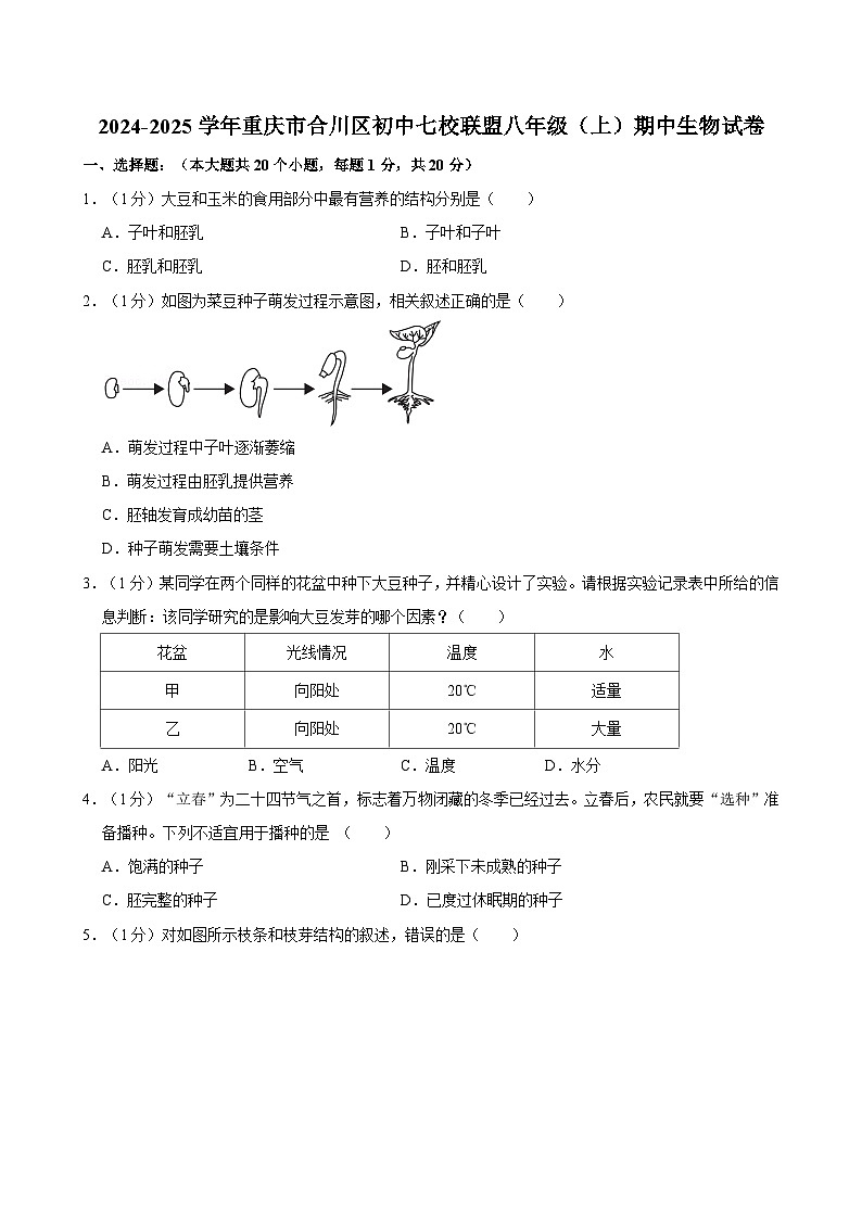 重庆市合川区初中七校联盟2024-2025学年八年级上学期期中考试生物试卷01