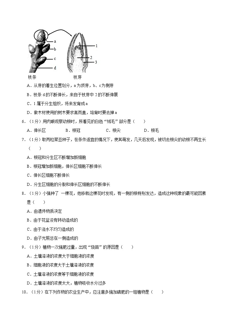 重庆市合川区初中七校联盟2024-2025学年八年级上学期期中考试生物试卷02