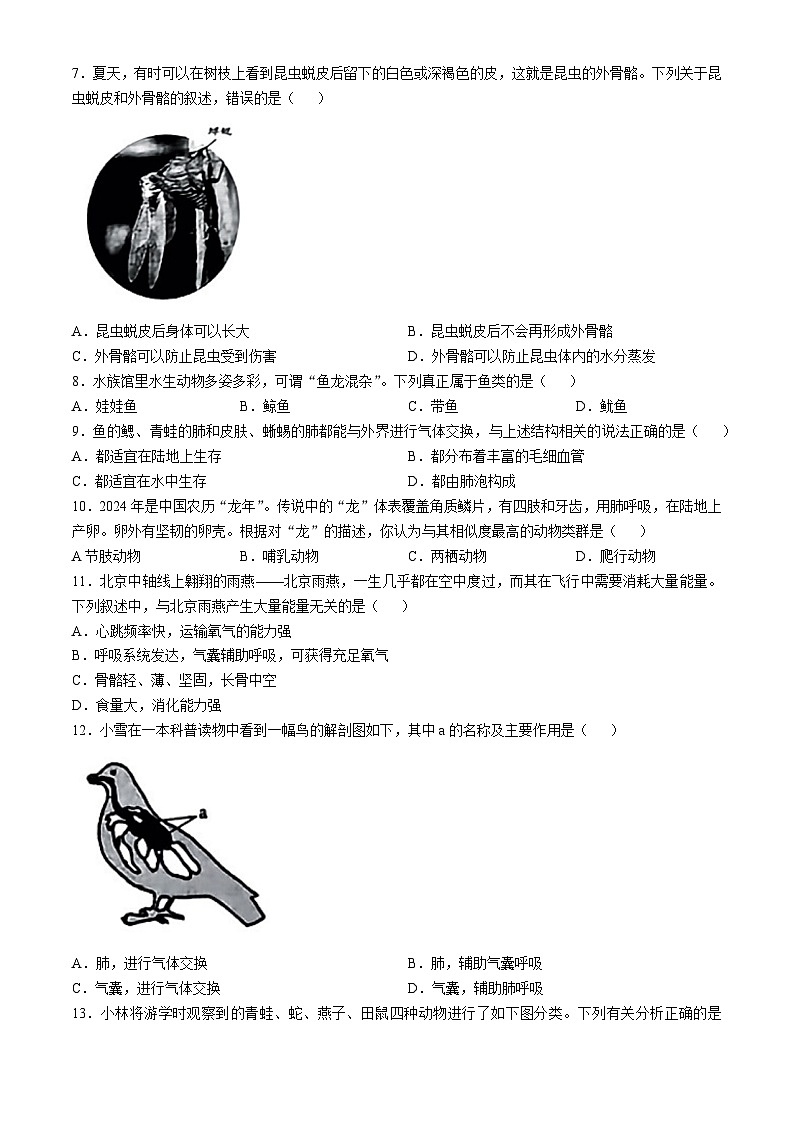 山西省吕梁市文水县多校2024-2025学年八年级上学期第一次月考生物试题02