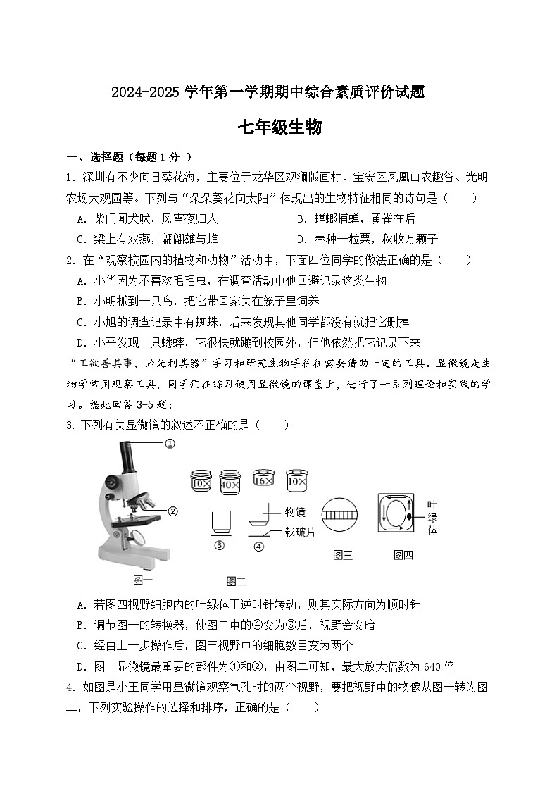 广东省东莞市长安振安初级中学2024-2025学年七年级上学期期中考试生物试题01