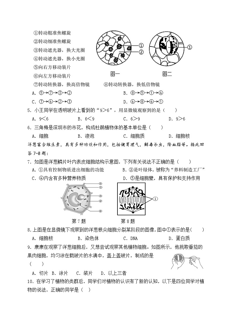 广东省东莞市长安振安初级中学2024-2025学年七年级上学期期中考试生物试题02