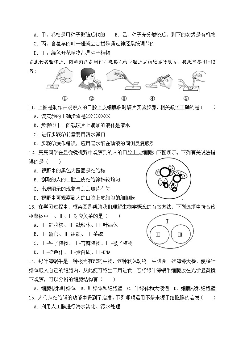 广东省东莞市长安振安初级中学2024-2025学年七年级上学期期中考试生物试题03