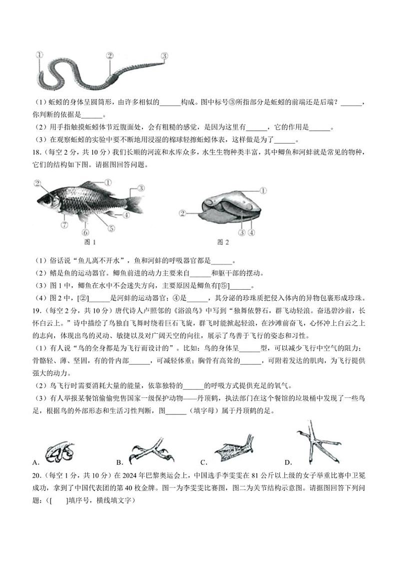 贵州省黔南州长顺县2024～2025学年八年级(上)期中生物试卷(含答案)第3页
