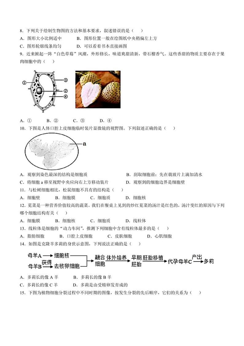 湖南省衡阳市华新实验中学2024～2025学年七年级(上)期中生物试卷(含答案)第2页