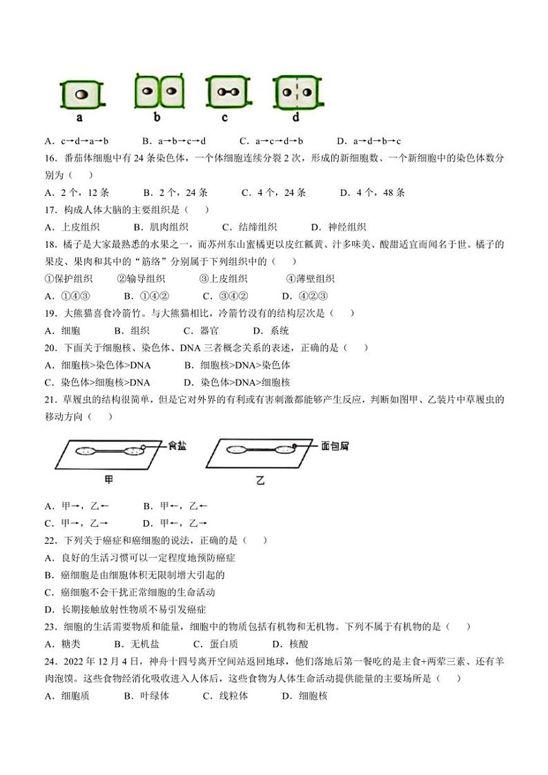 湖南省衡阳市华新实验中学2024～2025学年七年级(上)期中生物试卷(含答案)第3页