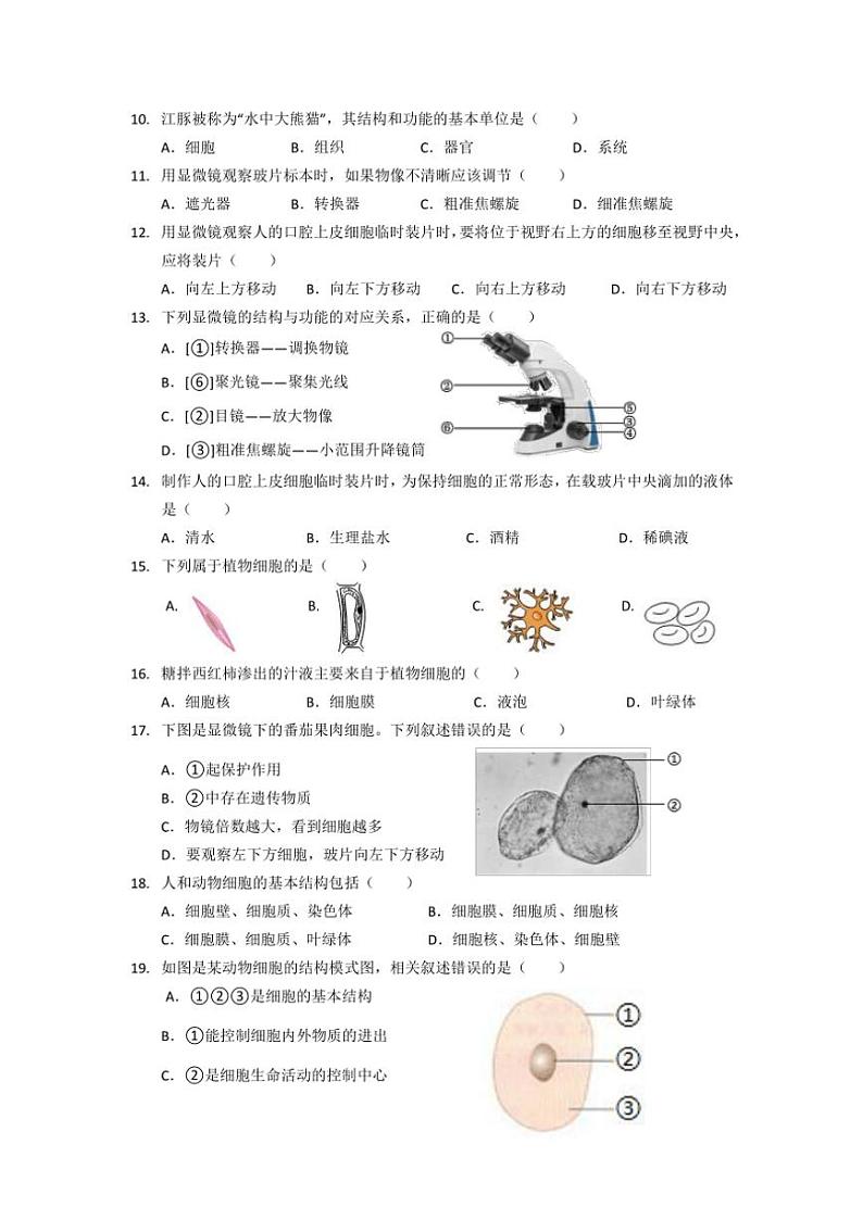 广东省珠海市香洲区立才学校2024～2025学年七年级(上)期中生物试卷(含答案)第2页