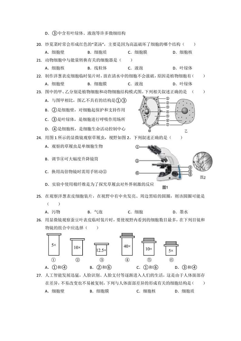 广东省珠海市香洲区立才学校2024～2025学年七年级(上)期中生物试卷(含答案)第3页
