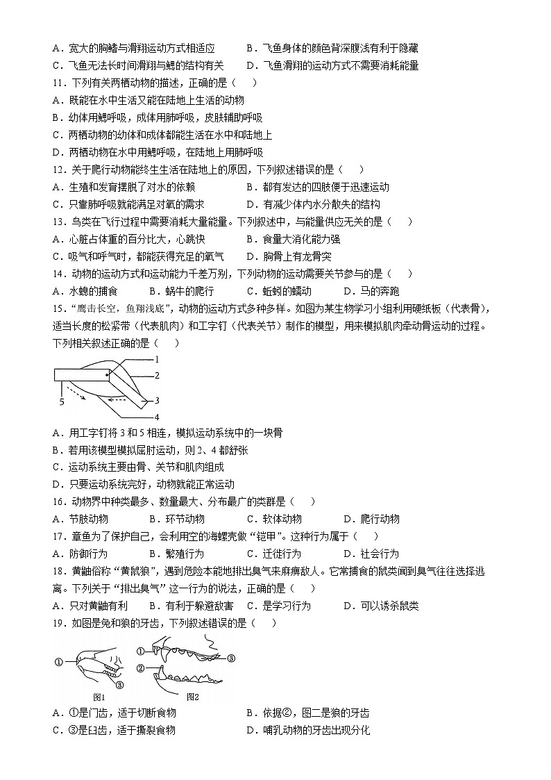 福建省福州市第十九中学2024-2025学年八年级上学期期中生物学试题-A402