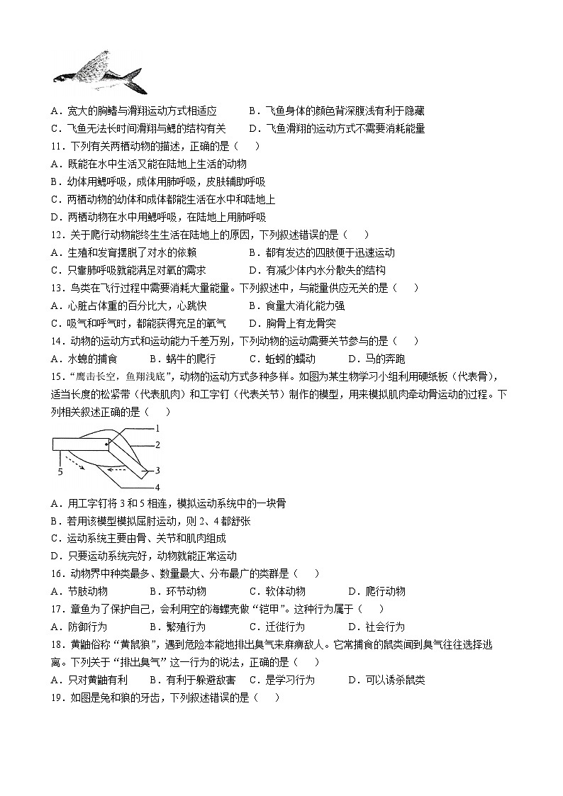福建省福州市第十九中学2024-2025学年八年级上学期期中生物学试题02