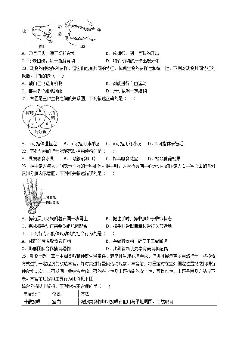 福建省福州市第十九中学2024-2025学年八年级上学期期中生物学试题03