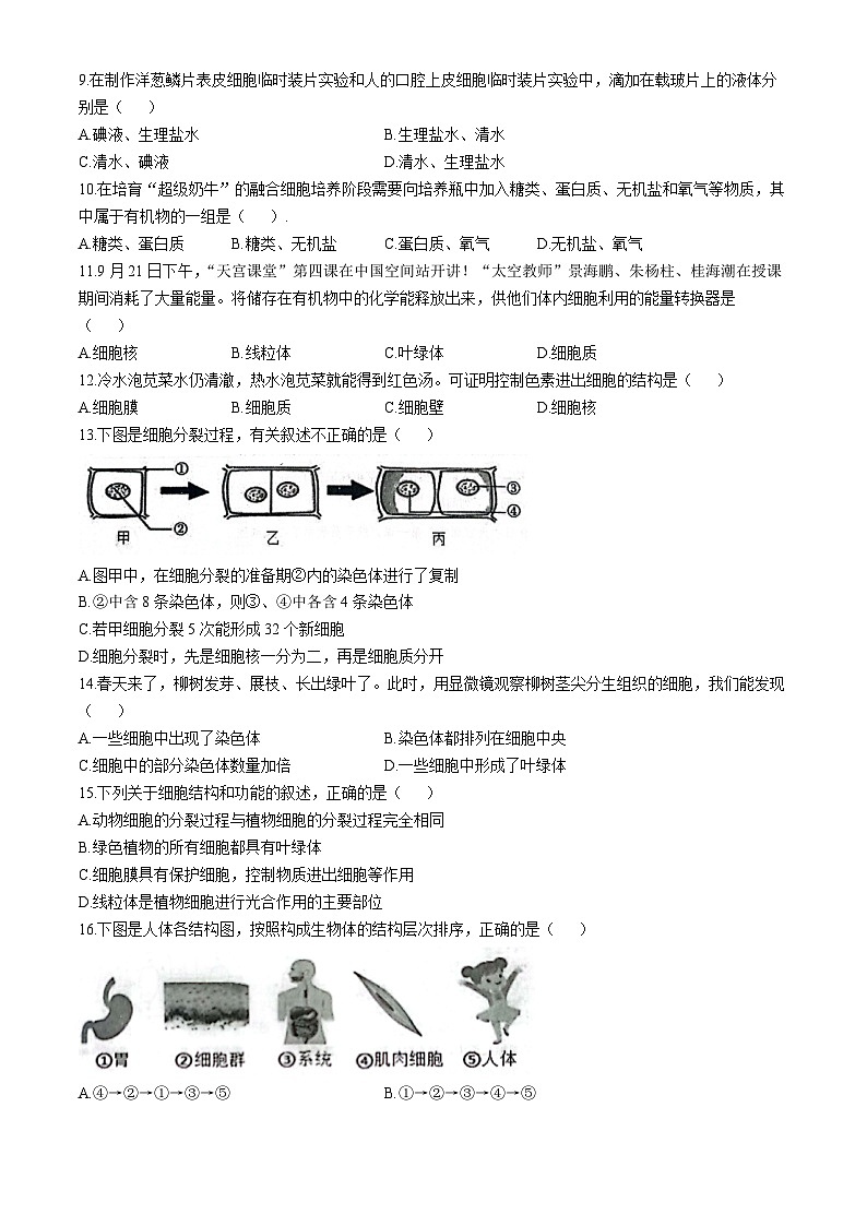 河南省南阳市社旗县2024-2025学年七年级上学期期中生物试题第2页