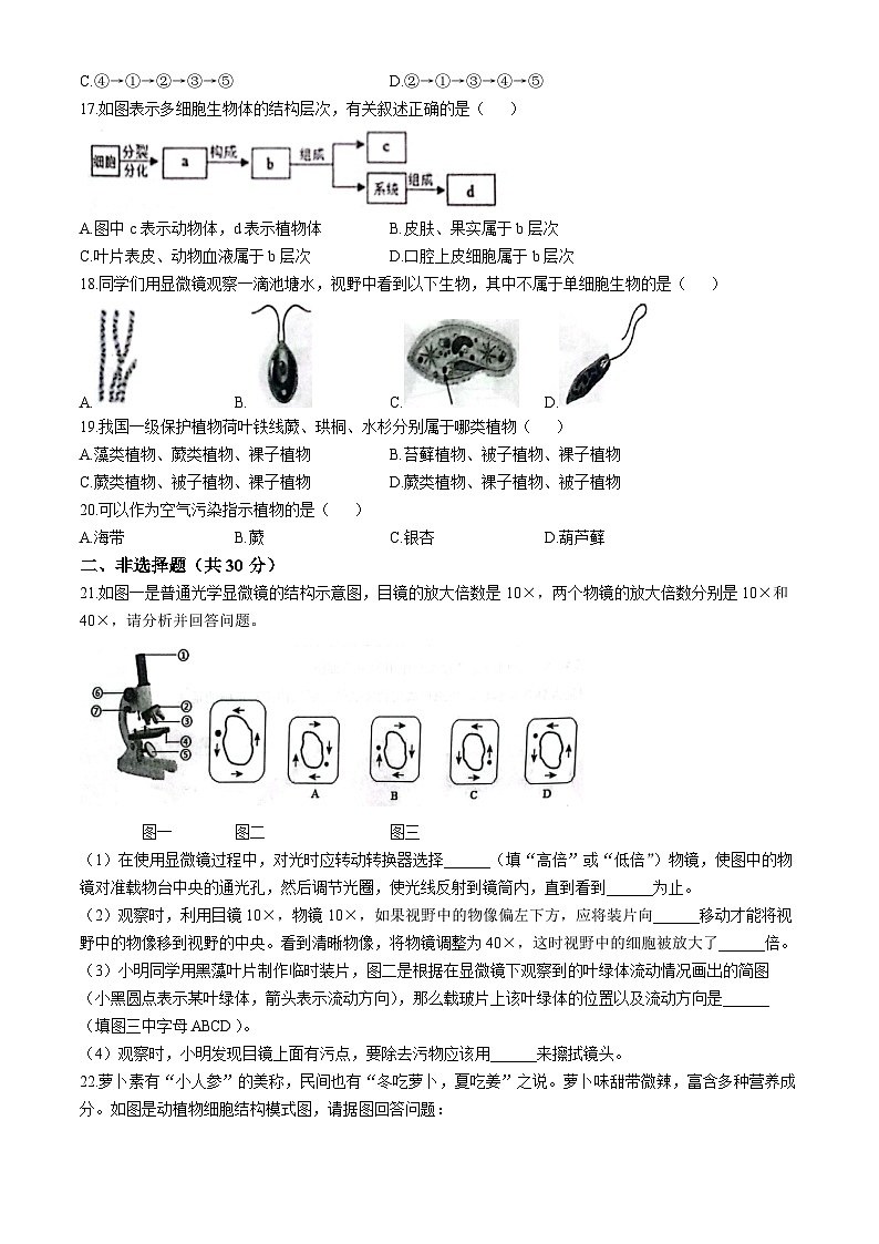 河南省南阳市社旗县2024-2025学年七年级上学期期中生物试题第3页