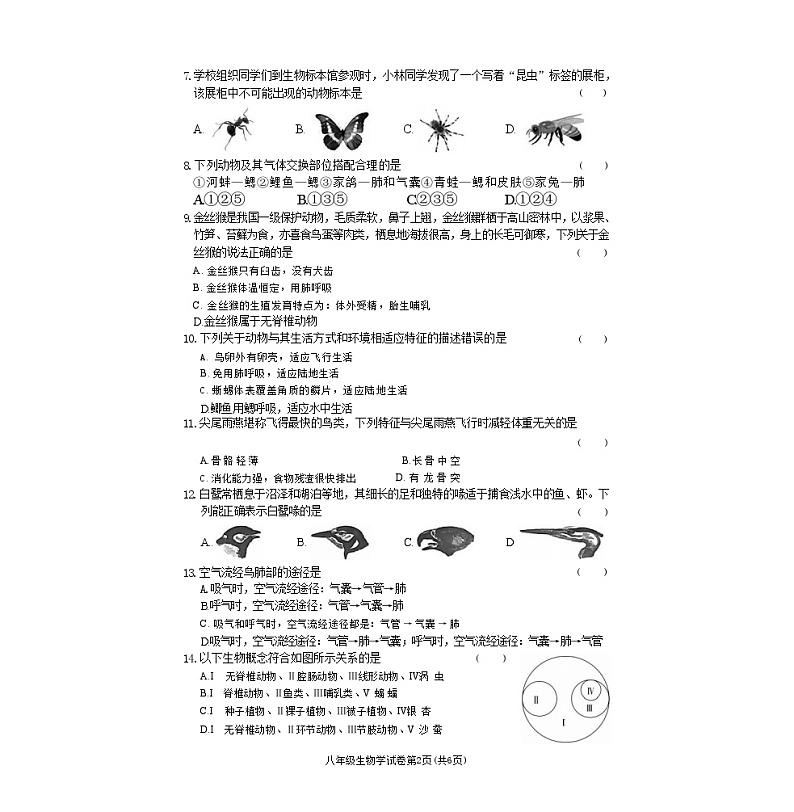 湖南省张家界市桑植县2024--2025学年八年级上学期期中考试生物试卷第2页