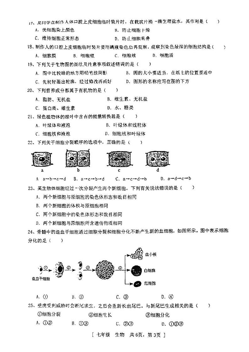 广东省江门市蓬江区景贤中学2023-2024学年七年级上学期期中考试生物试题第3页