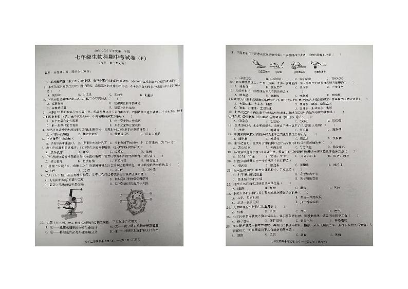 广东省汕头市潮南区2024-2025学年七年级上学期期中考试生物试题第1页