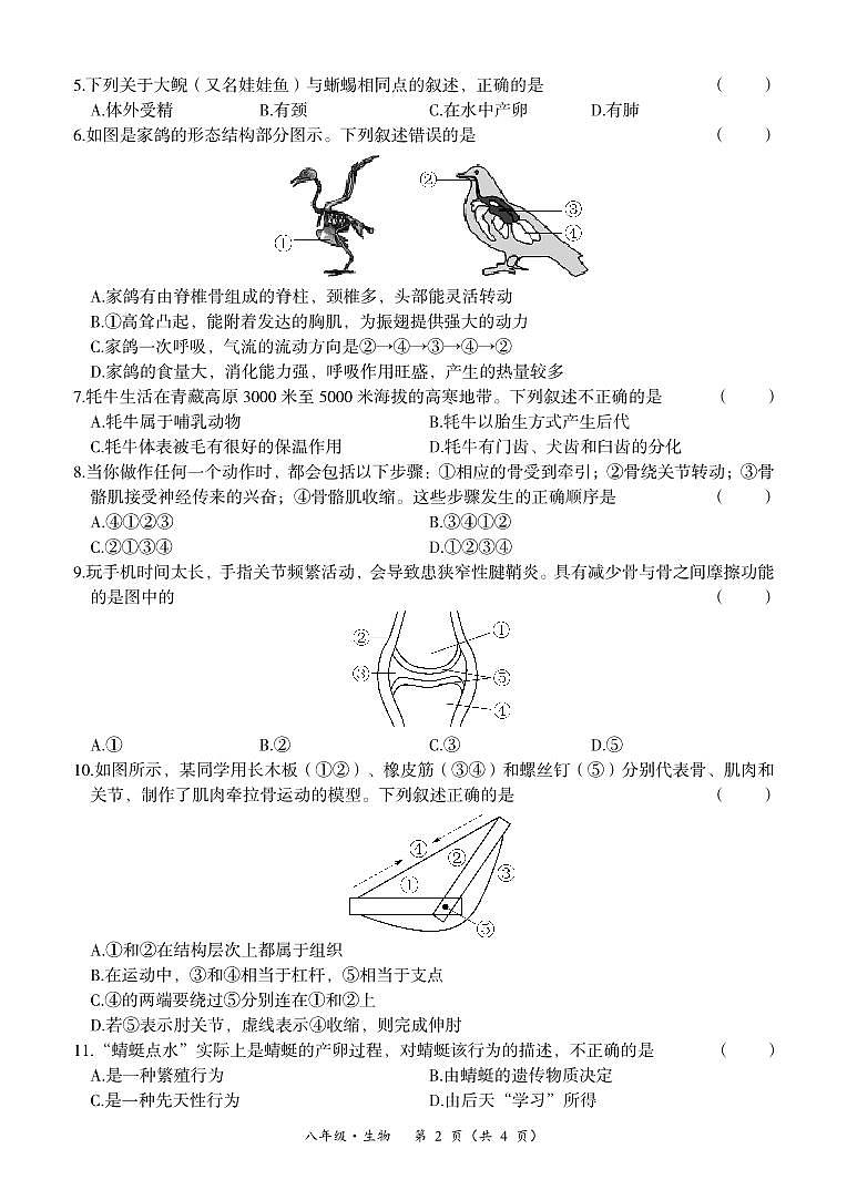 内蒙古赤峰市2023—2024学年八年级上学期期中生物试卷第2页