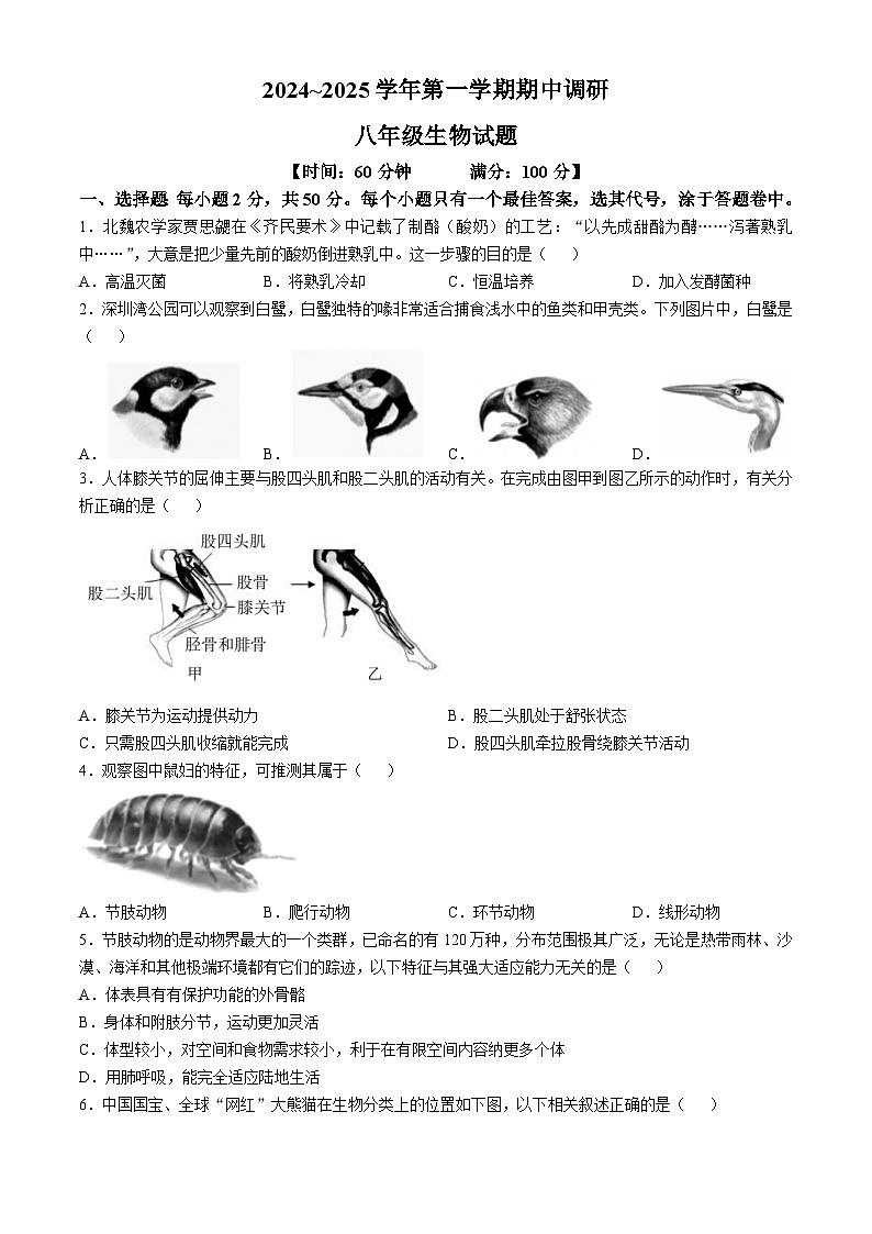 山东省聊城临清市2024-2025学年八年级上学期期中生物试题第1页