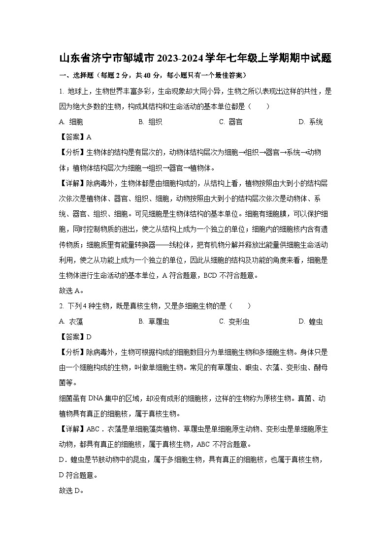 2023-2024学年山东省济宁市邹城市七年级(上)期中生物试卷（解析版）第1页