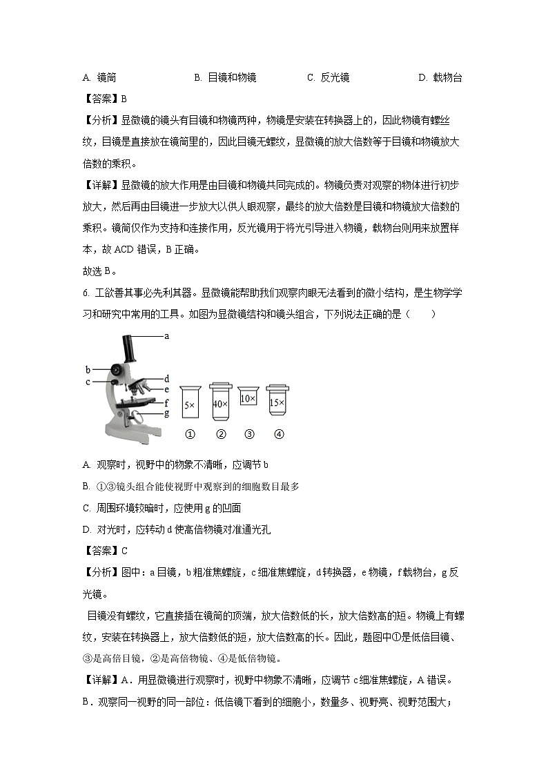 2024-2025学年山东省临沂市费县七年级(上)期中生物试卷（解析版）第3页