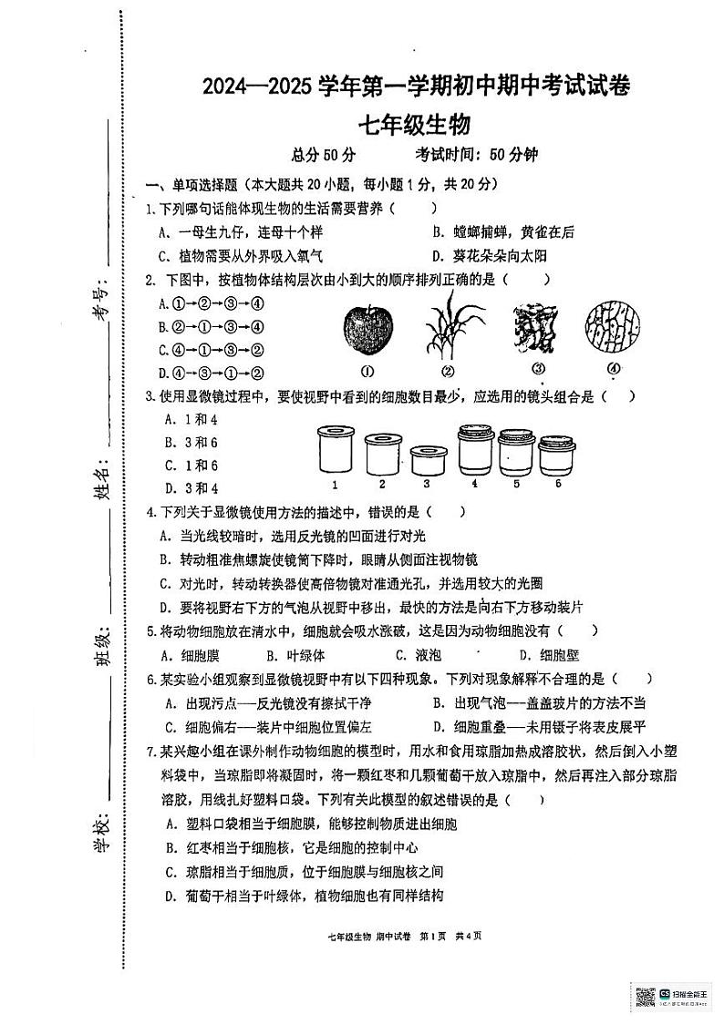 江西省龙南市2024-2025学年七年级上学期期中考试生物试题第1页