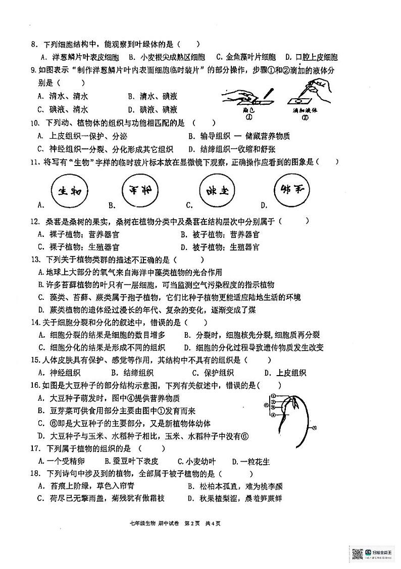 江西省龙南市2024-2025学年七年级上学期期中考试生物试题第2页