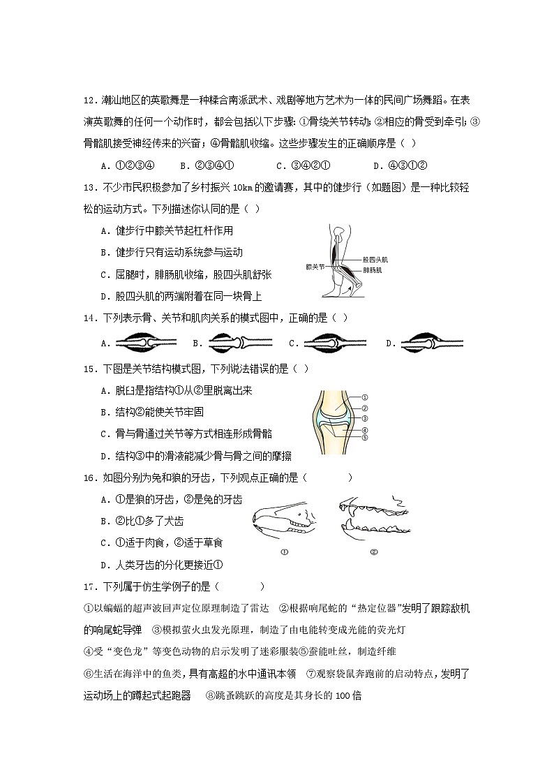广东省茂名市第一中学2024-2025学年八年级上学期期中考试生物试题第3页