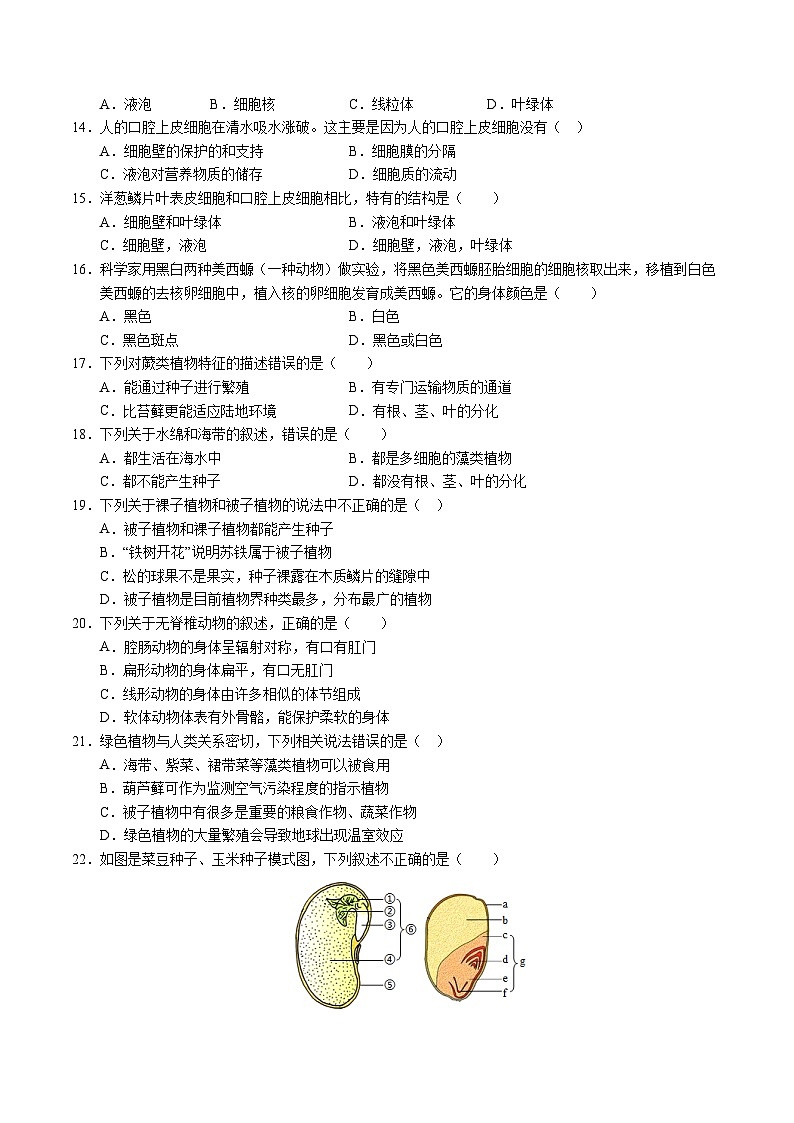 七年级生物第三次月考卷02（考试版A4）【测试范围：第一单元、第二单元第一章~第二章第一节】（人教版2024）第2页