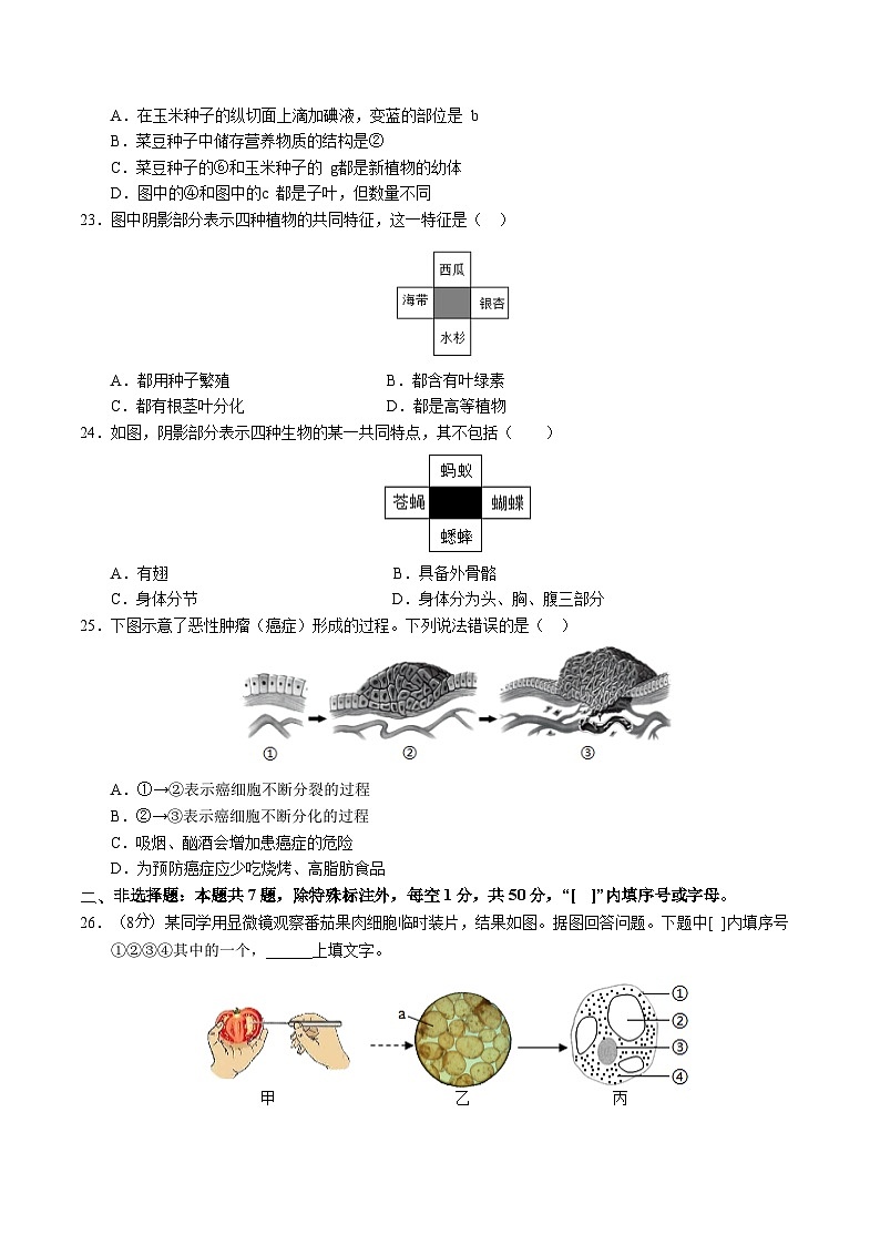 七年级生物第三次月考卷02（考试版A4）【测试范围：第一单元、第二单元第一章~第二章第一节】（人教版2024）第3页