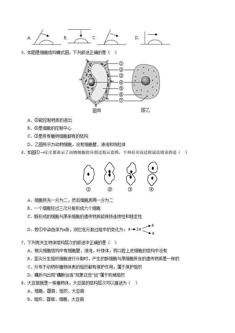 七年级生物第三次月考卷【测试范围：第一单元、第二单元第一章~第三章第1节】（A4考试版）（山东专用）第2页
