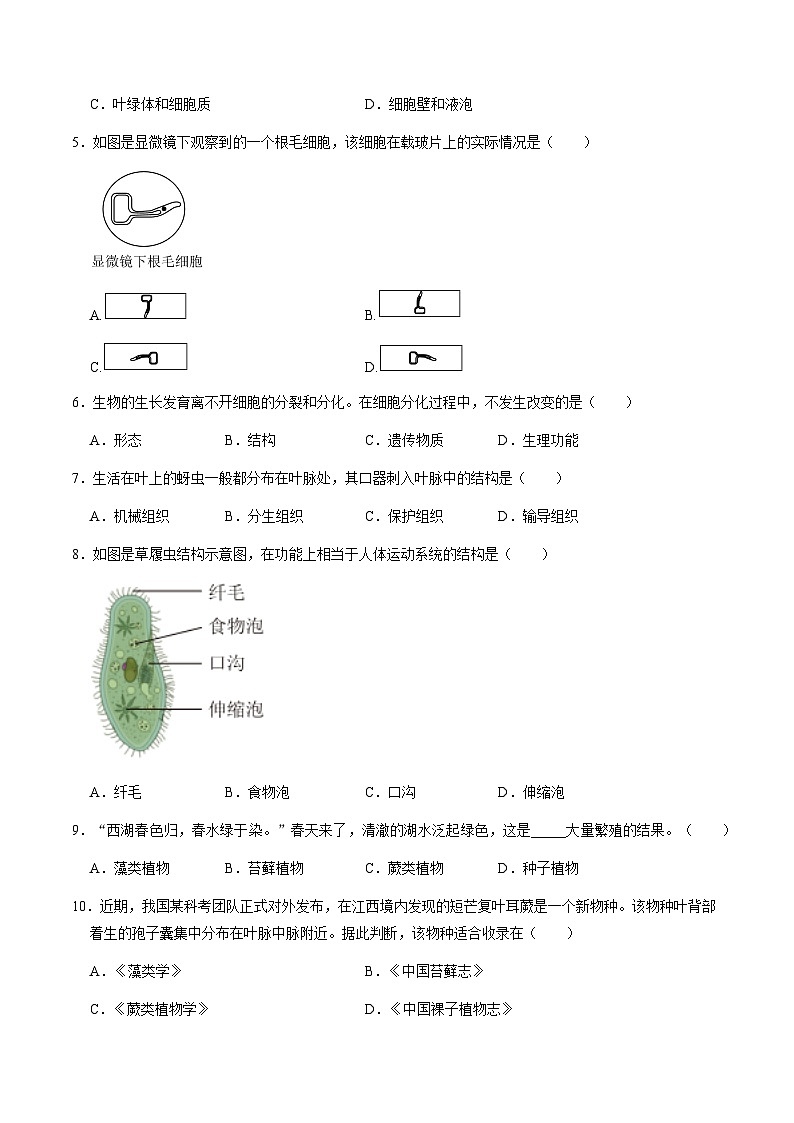 七年级生物第三次月考卷（考试版A4）【测试范围：人教版2024第一单元、第二单元第一章~第二章第一节】（山西专用）第2页