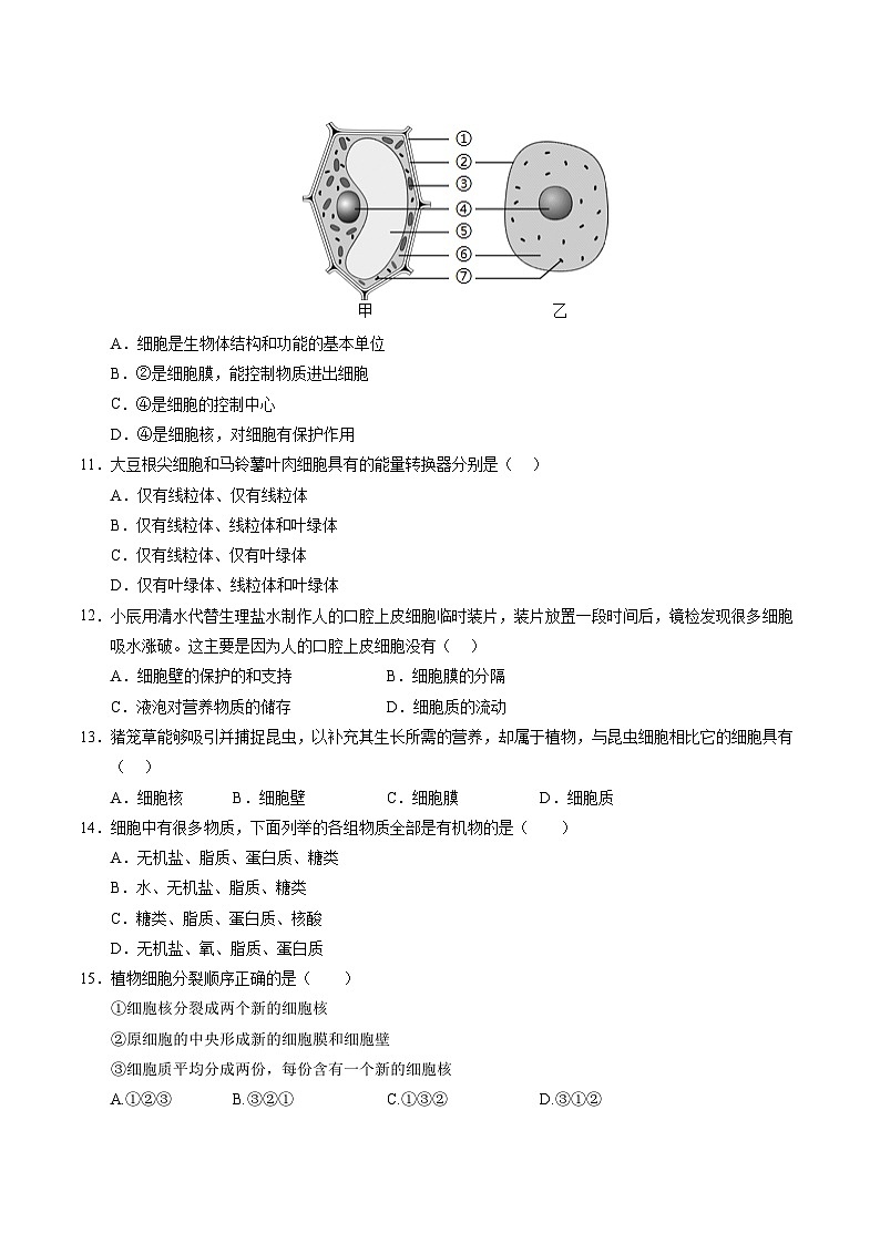 七年级生物第三次月考卷（考试版A4）（广东专用）第3页
