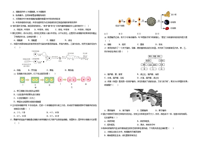 七年级生物第三次月考卷【测试范围：人教版2024七上第一单元占比40%，第二单元第一章～第二章占比60%】（考试版A3）（广州专用）第2页