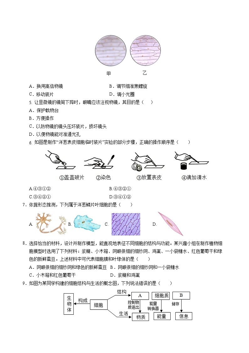 七年级生物第三次月考卷（考试版A4）（广州专用）第2页