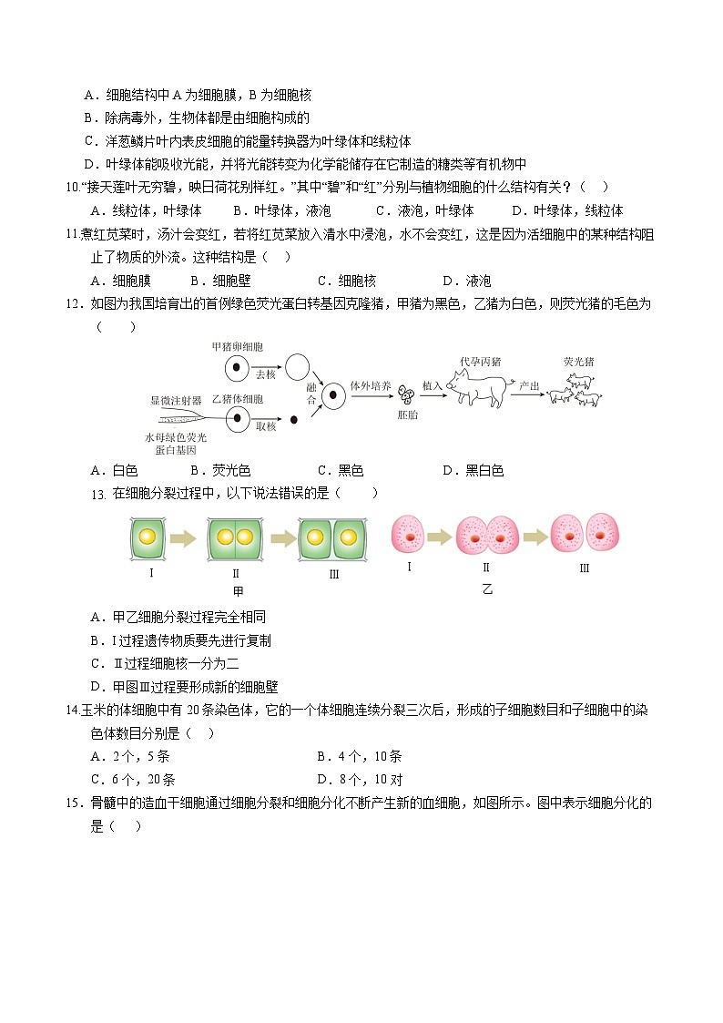 七年级生物第三次月考卷（考试版A4）（广州专用）第3页