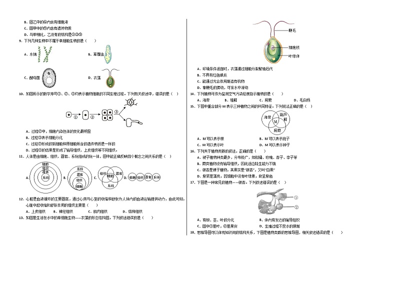 七年级生物第三次月考卷【测试范围：人教版2024七上第一单元占比40%，第二单元第一章～第二章第一节占比60%】（考试版A3）（成都专用）第2页