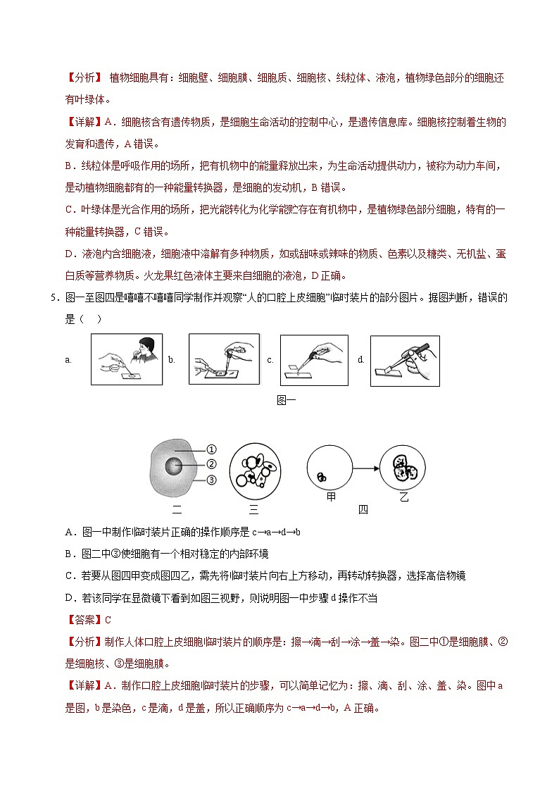 七年级生物第三次月考卷（全解全析）（成都专用）第3页