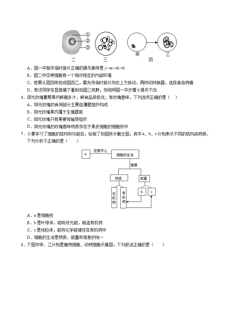 七年级生物第三次月考卷（考试版A4）（成都专用）第2页