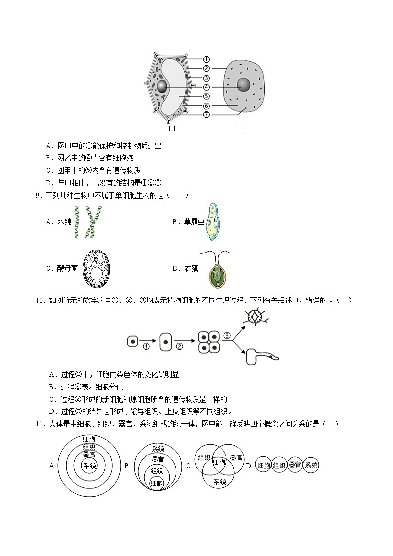 七年级生物第三次月考卷（考试版A4）（成都专用）第3页