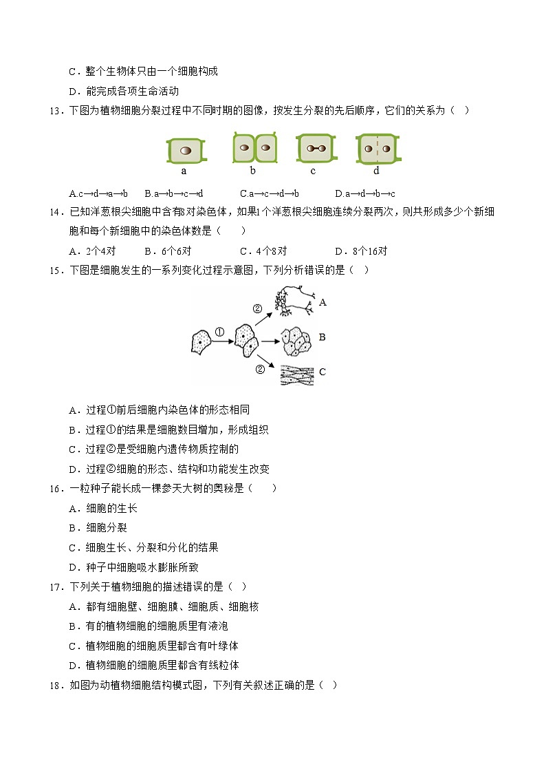 七年级生物第三次月考卷（考试版A4）（江苏专用，苏科版2024）第3页
