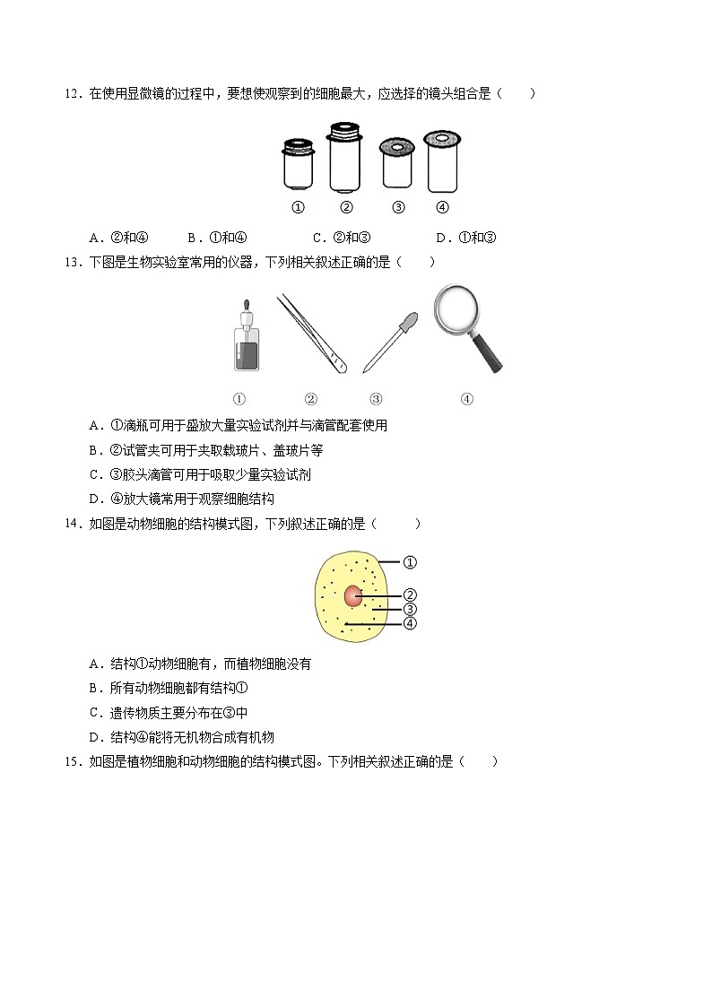 七年级生物第三次月考卷【测试范围：苏教版2024第1~4章】（江苏南京专用）（考试版A4）第2页