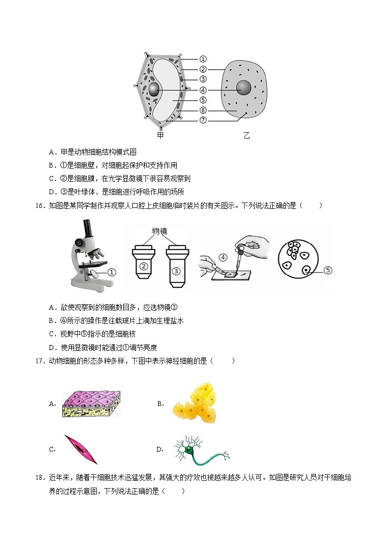 七年级生物第三次月考卷【测试范围：苏教版2024第1~4章】（江苏南京专用）（考试版A4）第3页