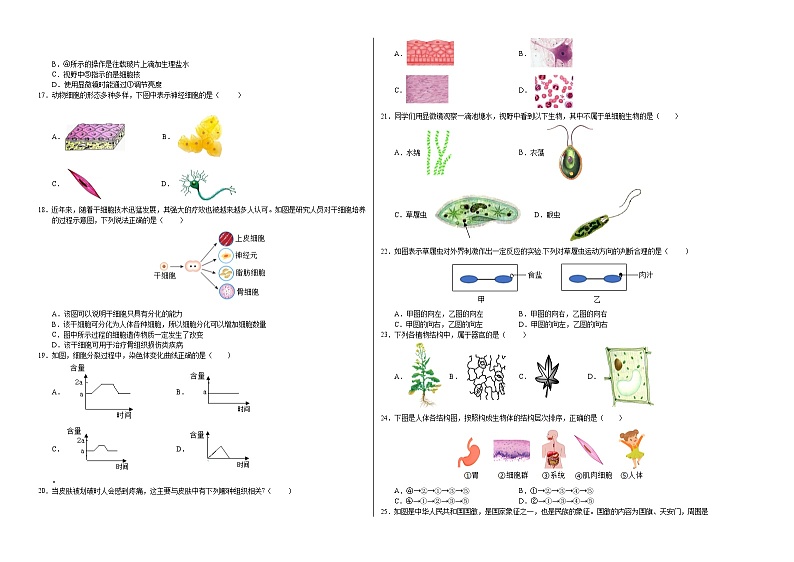 七年级生物第三次月考卷【测试范围：苏教版2024第1~4章】（江苏南京专用）（考试版A3）第2页