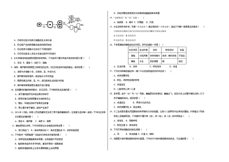 七年级生物第三次月考卷【测试范围：第一单元、第二单元第一章～第三章第1节】（A3考试版）（济南版2024）第2页