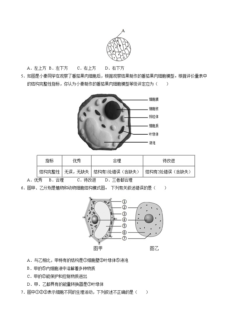 七年级生物第三次月考卷【测试范围：第一单元、第二单元第一章～第三章第1节】（A4考试版）（济南版2024）第2页