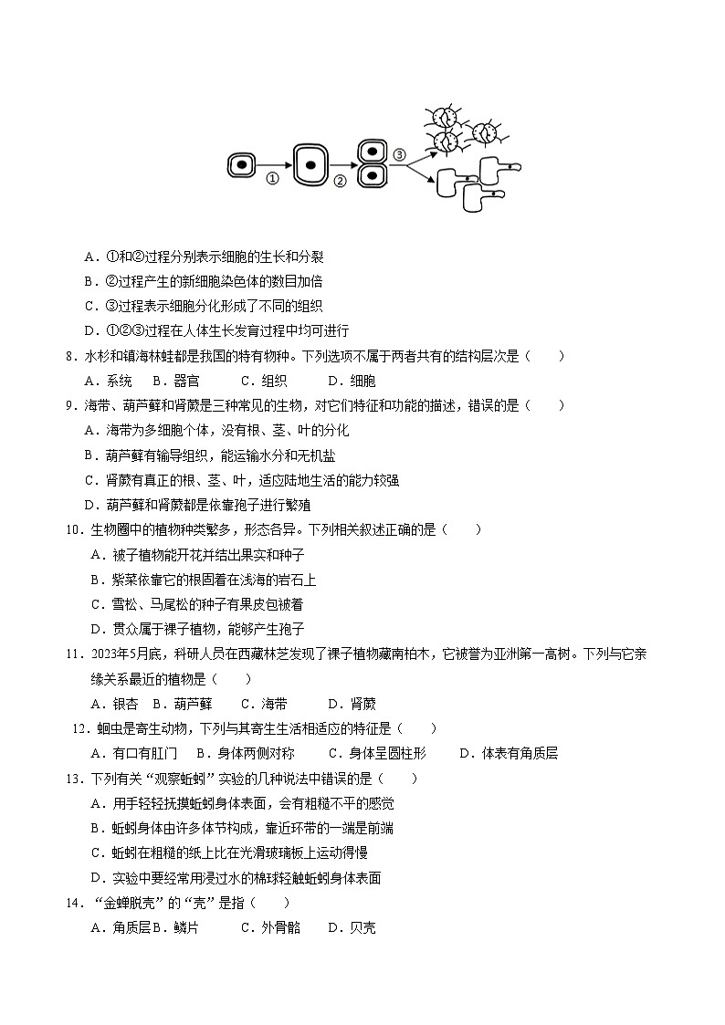 七年级生物第三次月考卷【测试范围：第一单元、第二单元第一章～第三章第1节】（A4考试版）（济南版2024）第3页