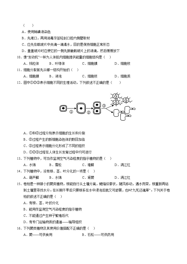 七年级生物第三次月考卷（考试版A4）（深圳专用）第3页