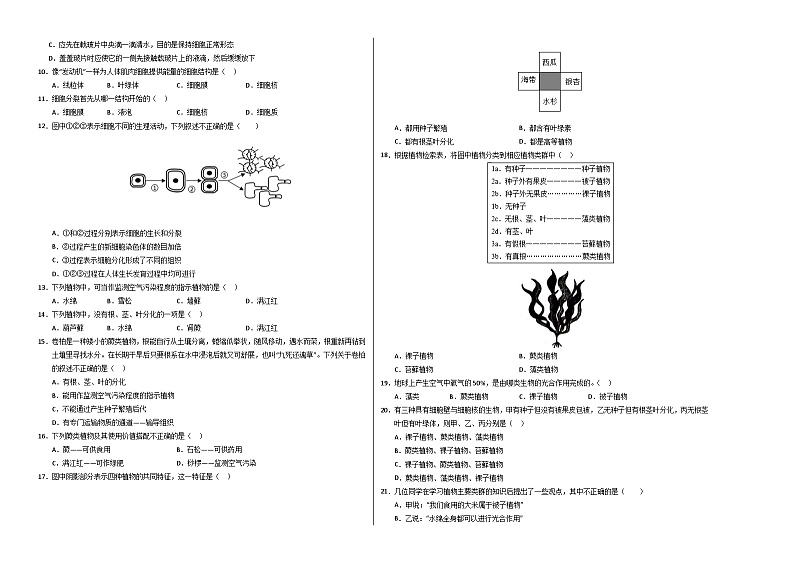 七年级生物第三次月考卷【测试范围：人教版2024七上第一单元占比40%，第二单元第一章～第二章第一节占比60%】（考试版A3）（深圳专用）第2页