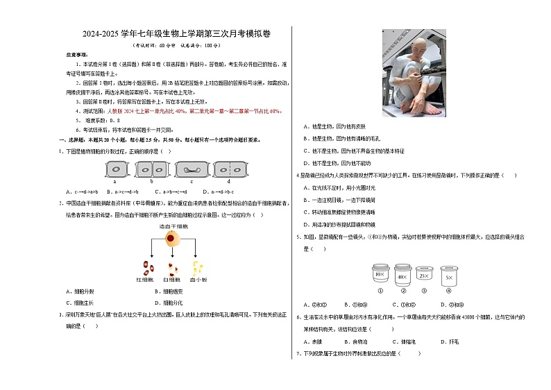 七年级生物第三次月考卷（考试版A3）【测试范围：人教版2024第一单元、第二单元第一章~第二章第一节】（贵州专用）第1页