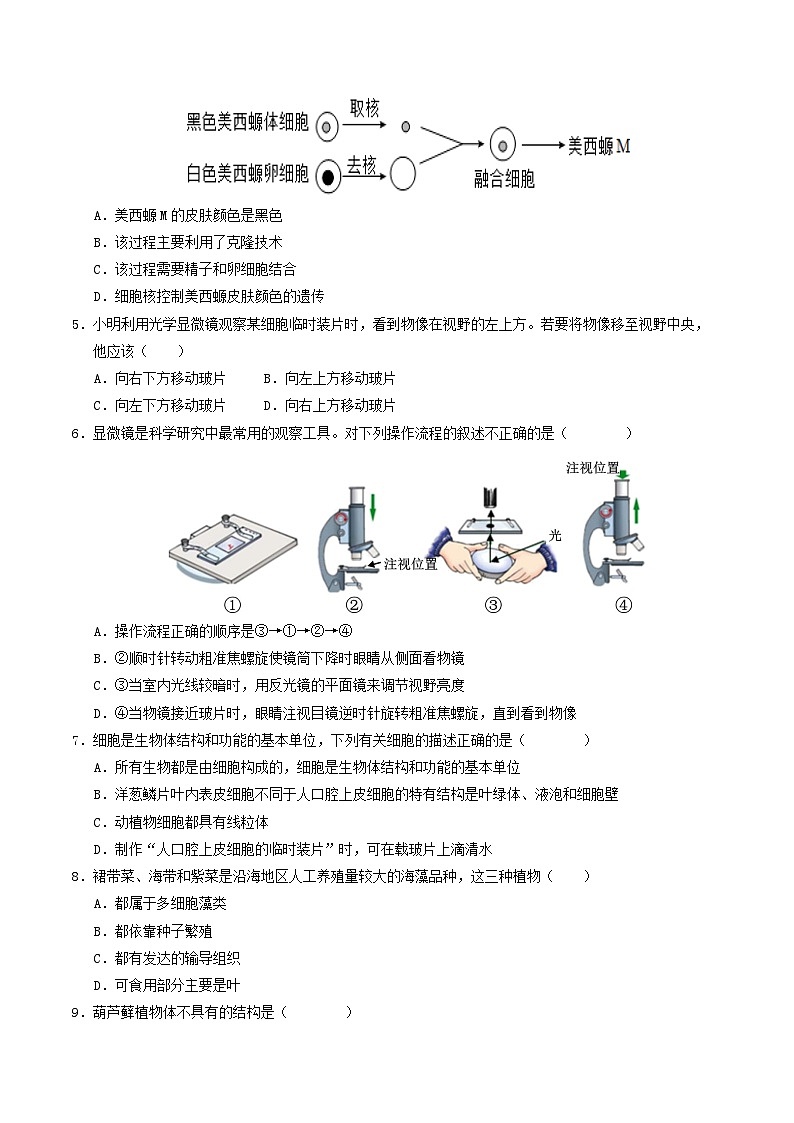 七年级生物第三次月考卷（考试版A4）【测试范围：人教版2024第一单元、第二单元第一章~第二章第一节】（陕西专用）第2页